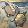 Two Turtles